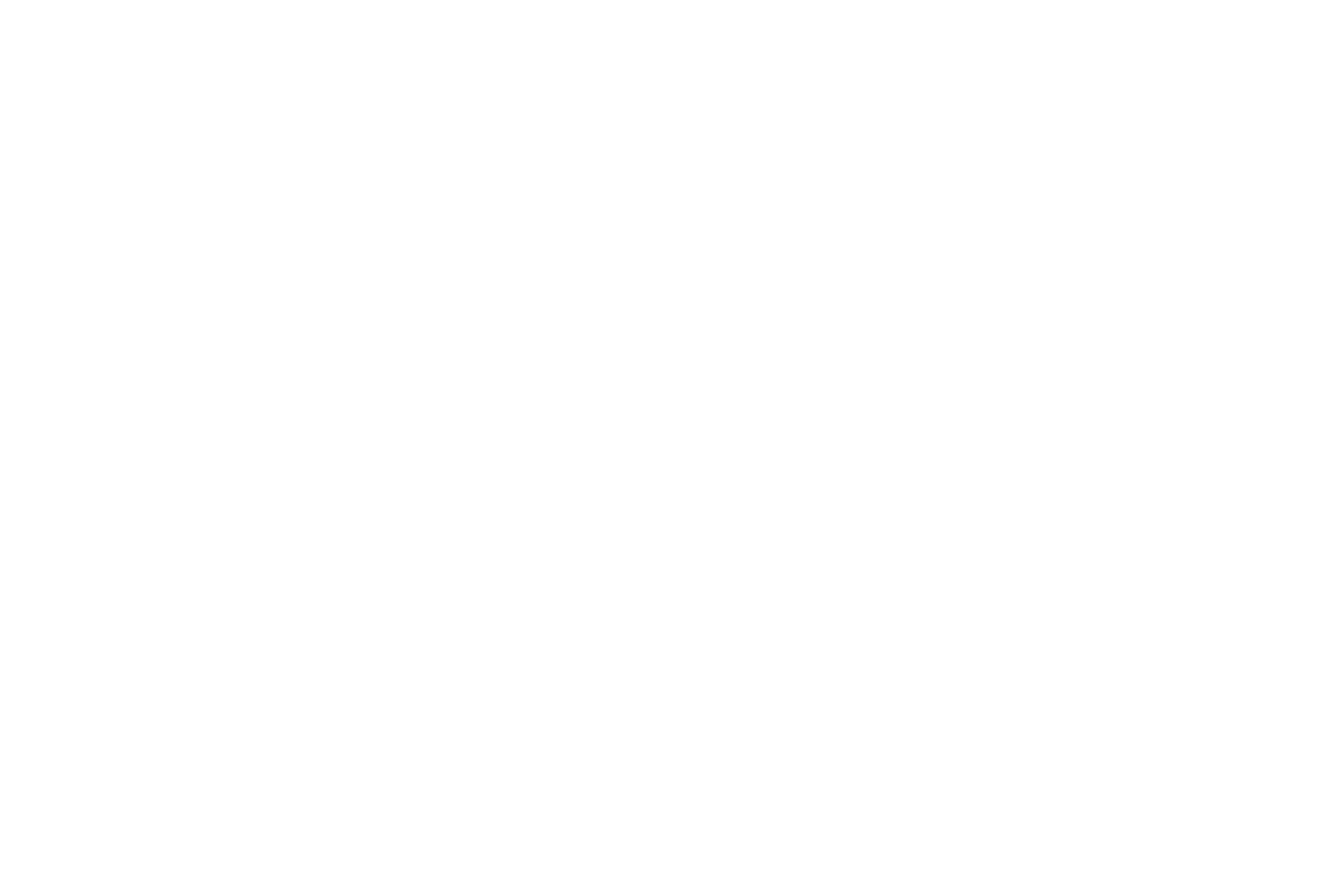 BRAVY